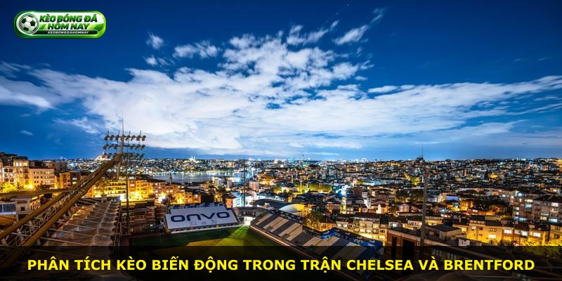 Phân tích kèo biến động trong trận Chelsea và Brentford