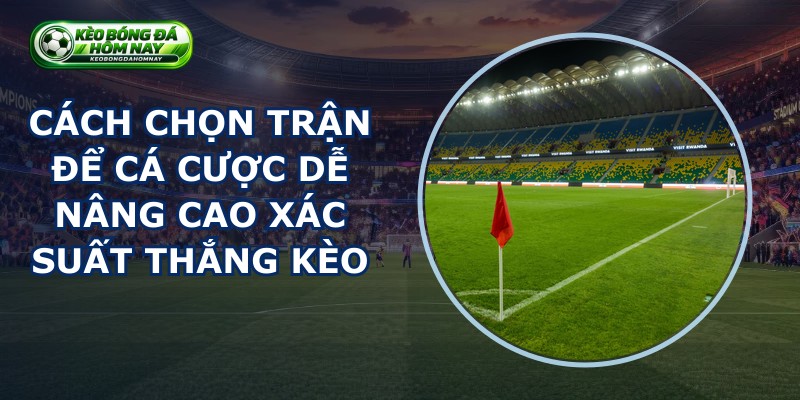 Cách Chọn Trận Để Cá Cược