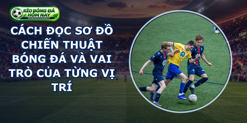 Cách Đọc Sơ Đồ Chiến Thuật Bóng Đá