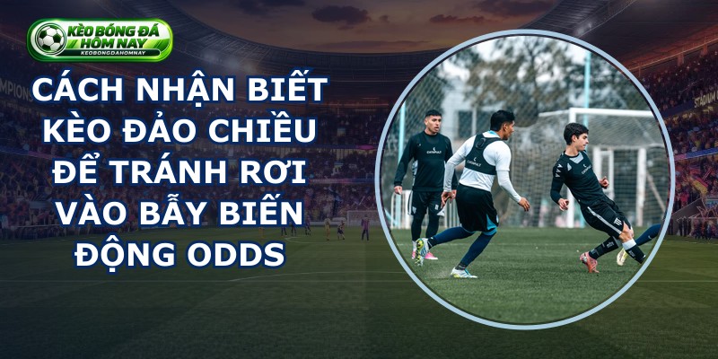 Cách Nhận Biết Kèo Đảo Chiều