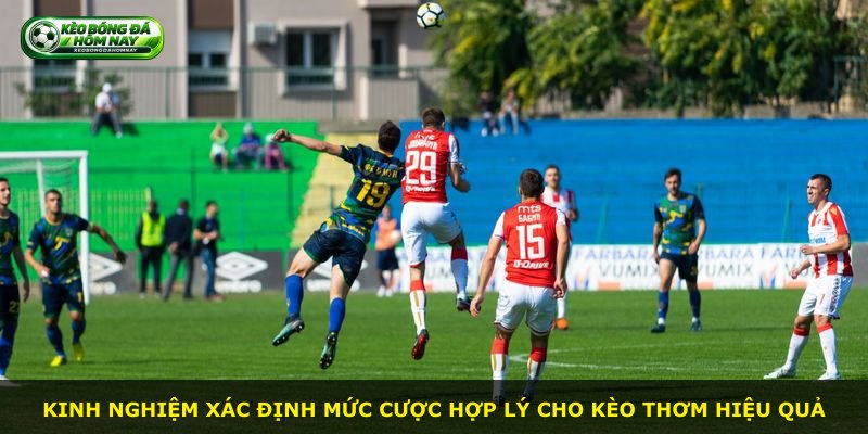 Kinh nghiệm xác định mức cược hợp lý cho kèo thơm hiệu quả
