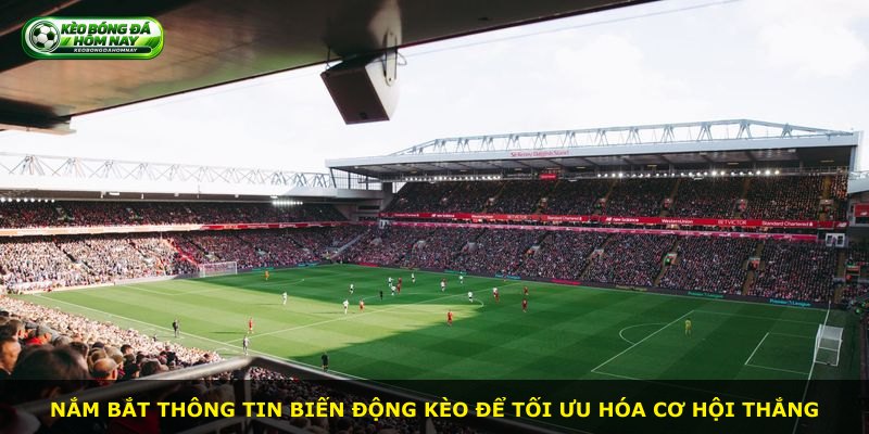 Nắm bắt thông tin biến động kèo để tối ưu hóa cơ hội thắng