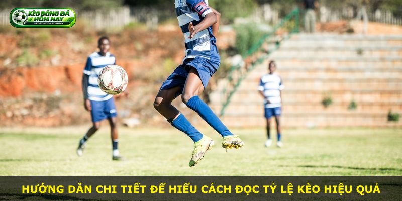 Hướng dẫn chi tiết để hiểu cách đọc tỷ lệ kèo hiệu quả