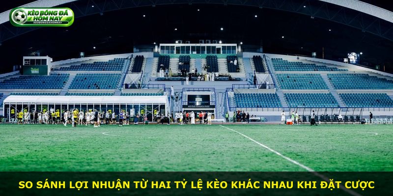 So sánh lợi nhuận từ hai tỷ lệ kèo khác nhau khi đặt cược