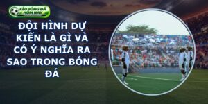 Đội Hình Dự Kiến Là Gì