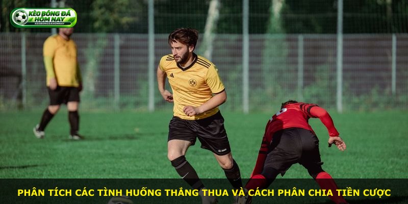 Phân tích các tình huống thắng thua và cách phân chia tiền cược