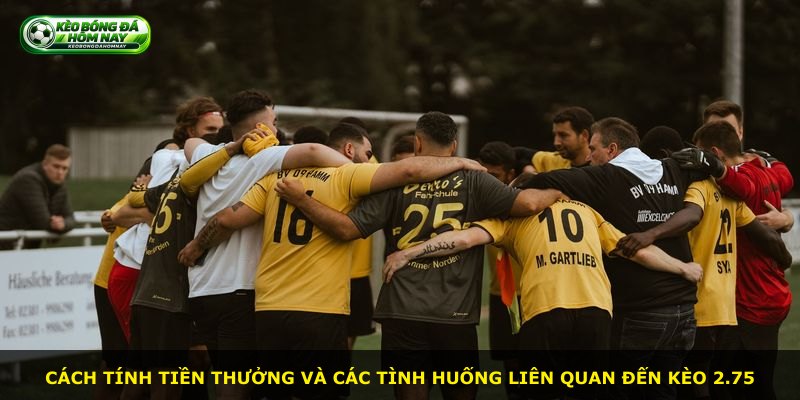 Cách tính tiền thưởng và các tình huống liên quan đến kèo 2.75