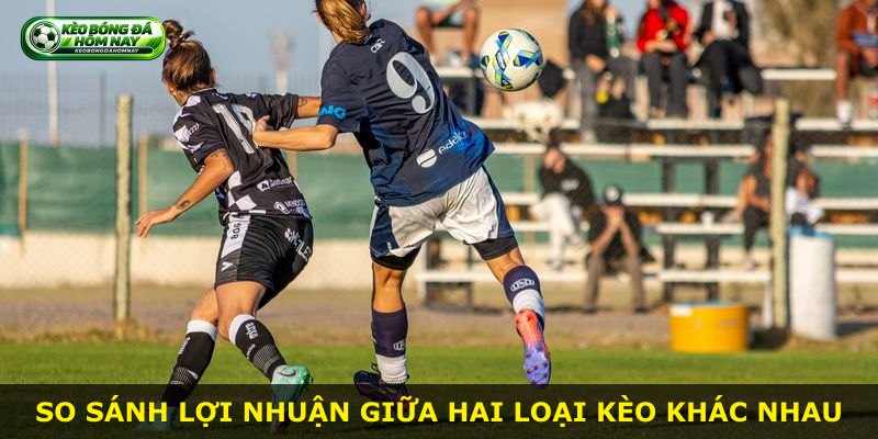 So sánh lợi nhuận giữa hai loại kèo khác nhau