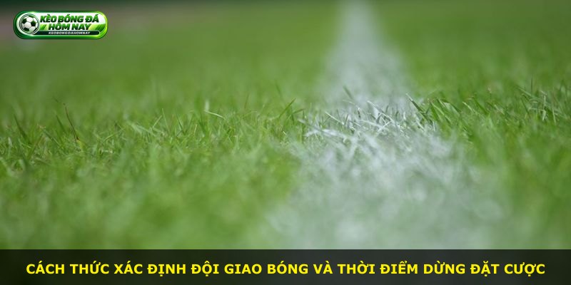 Cách thức xác định đội giao bóng và thời điểm dừng đặt cược