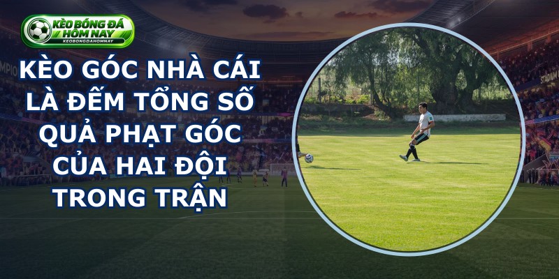 Kèo Góc Nhà Cái