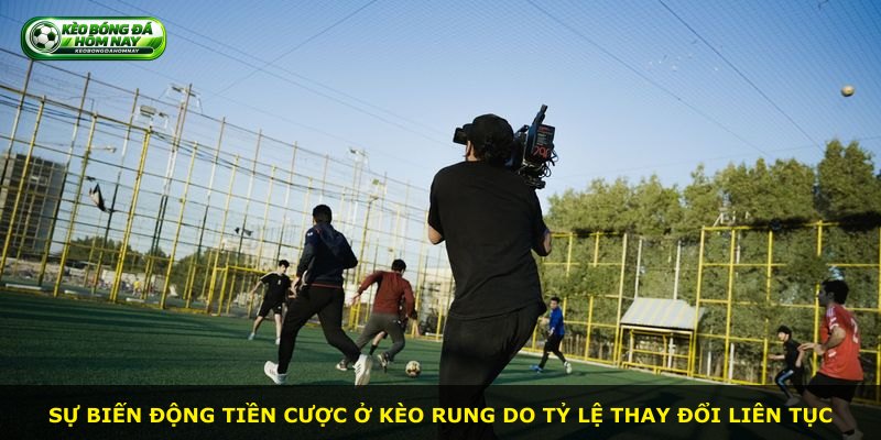 Sự biến động tiền cược ở Kèo Rung do tỷ lệ thay đổi liên tục