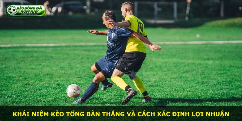 Khái niệm kèo tổng bàn thắng và cách xác định lợi nhuận