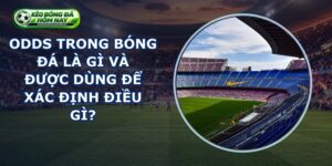 Odds Trong Bóng Đá Là Gì