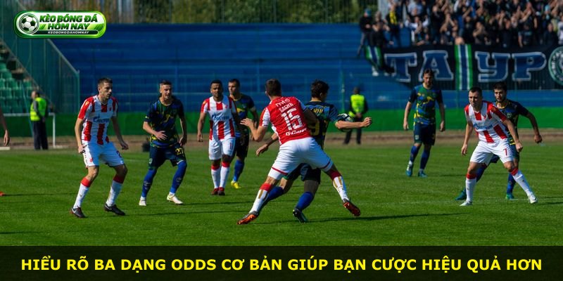 Hiểu rõ ba dạng odds cơ bản giúp bạn cược hiệu quả hơn