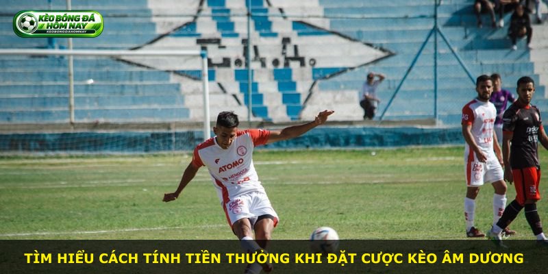 Tìm hiểu cách tính tiền thưởng khi đặt cược kèo âm dương